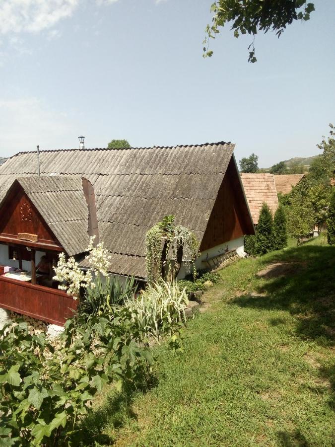 Meselak Villa Ocna de Sus Exterior foto